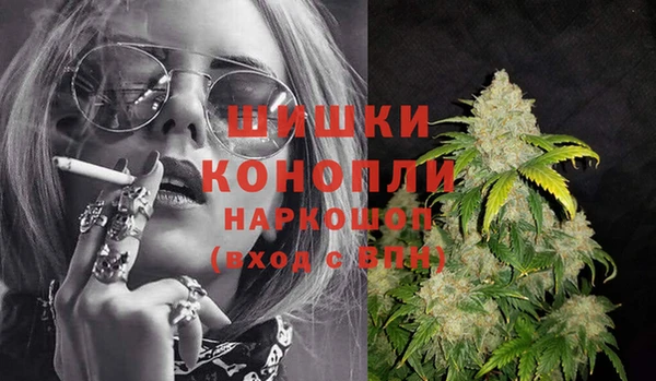 сатива Богданович