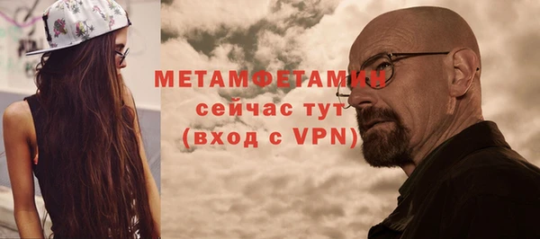 сатива Богданович