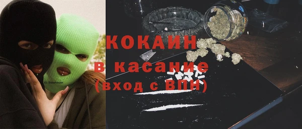 сатива Богданович