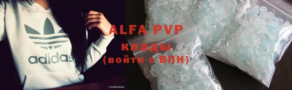 сатива Богданович