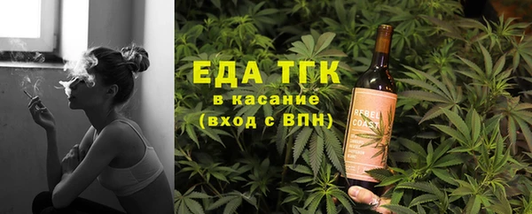 сатива Богданович