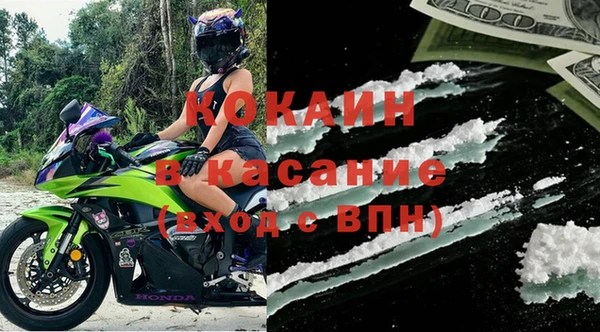 сатива Богданович