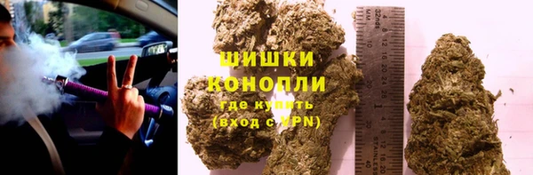 сатива Богданович