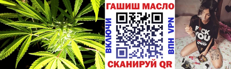 как найти   Новосибирск  ТГК THC oil 